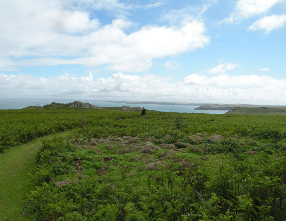 Gita all''isola di Skomer (Galles)